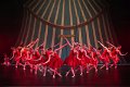 Mini Stars Circus 2A  075